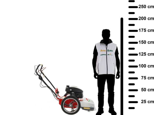 Blue Bird FLO Speed 6HO - Tondeuse débroussailleuse thermique - Lame et fil - Honda GCVx170